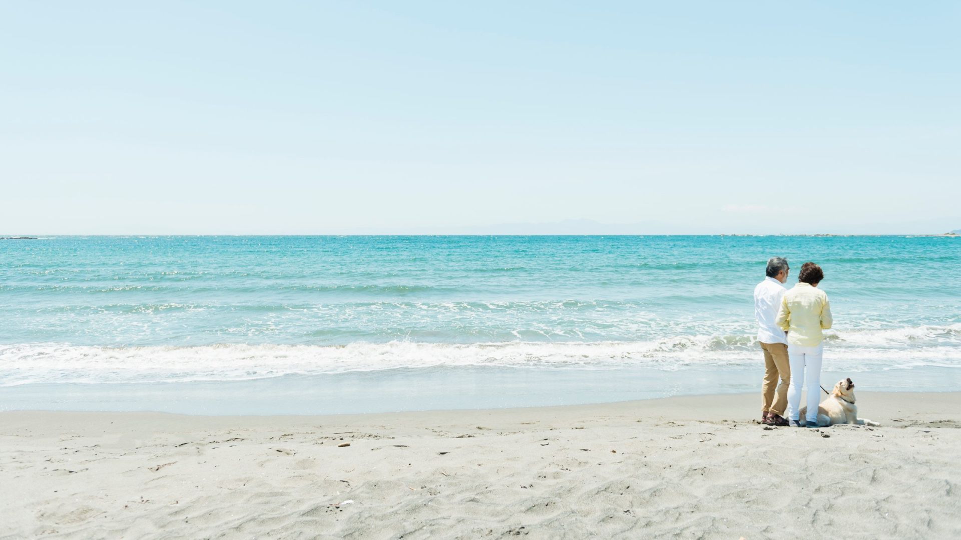 Older couple standing on a sunny beach with a dog, watching the turquoise ocean behind them.